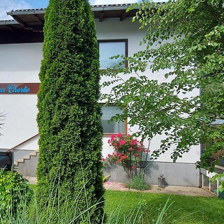 Appartements Das Charlie Ebensee Dış mekan fotoğraf